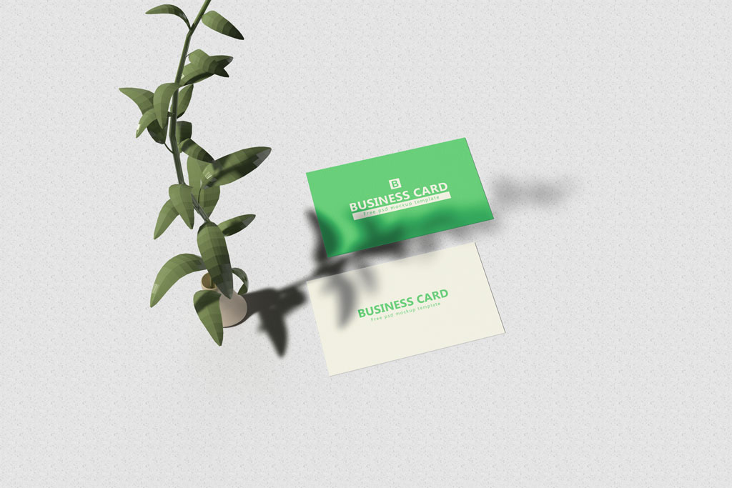 green business card mockup
